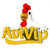 avivip